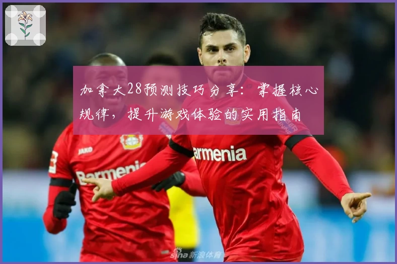 加拿大28预测技巧分享：掌握核心规律，提升游戏体验的实用指南