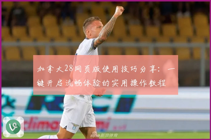 加拿大28网页版使用技巧分享：一键开启流畅体验的实用操作教程
