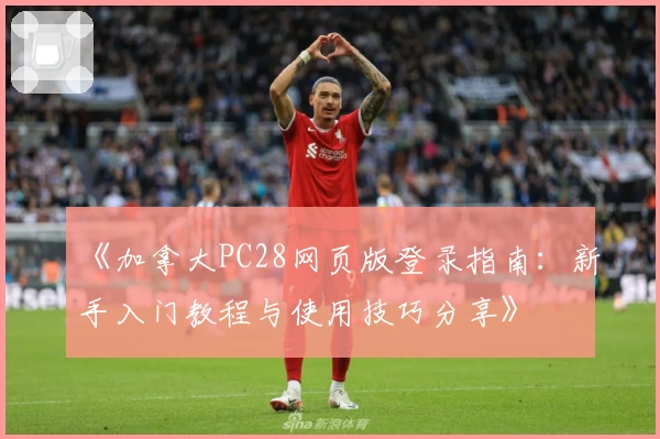 《加拿大PC28网页版登录指南：新手入门教程与使用技巧分享》