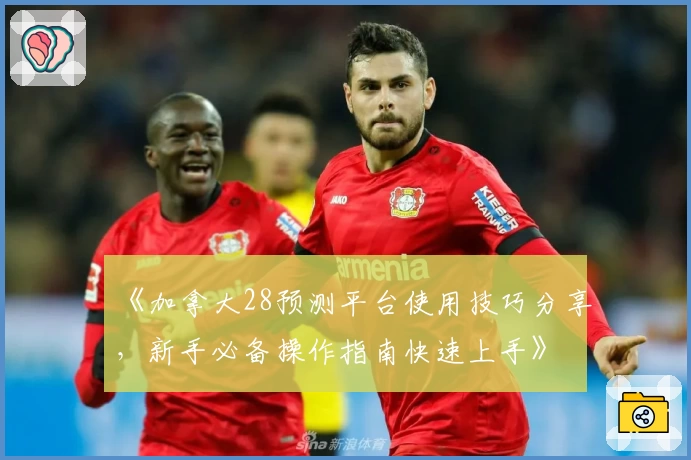 《加拿大28预测平台使用技巧分享，新手必备操作指南快速上手》