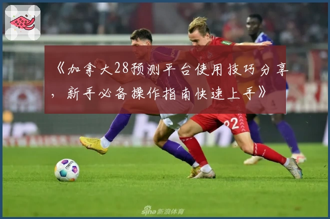 《加拿大28预测平台使用技巧分享，新手必备操作指南快速上手》