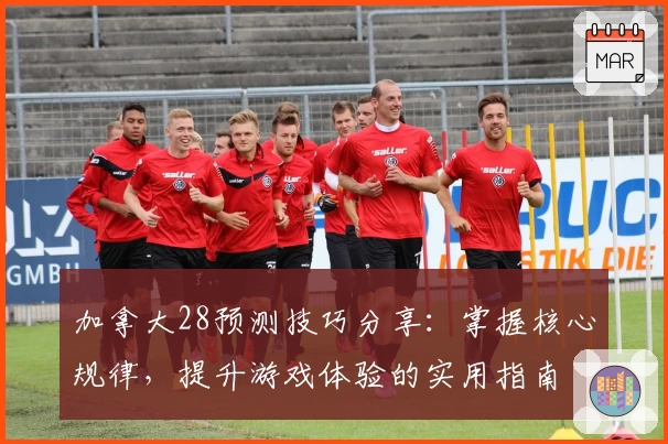 加拿大28预测技巧分享：掌握核心规律，提升游戏体验的实用指南