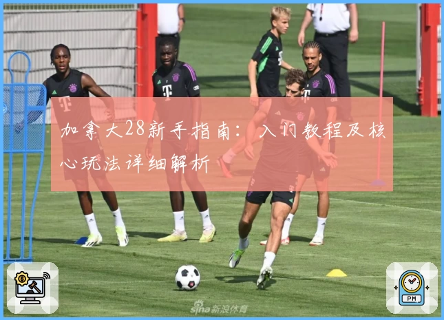 加拿大28新手指南：入门教程及核心玩法详细解析