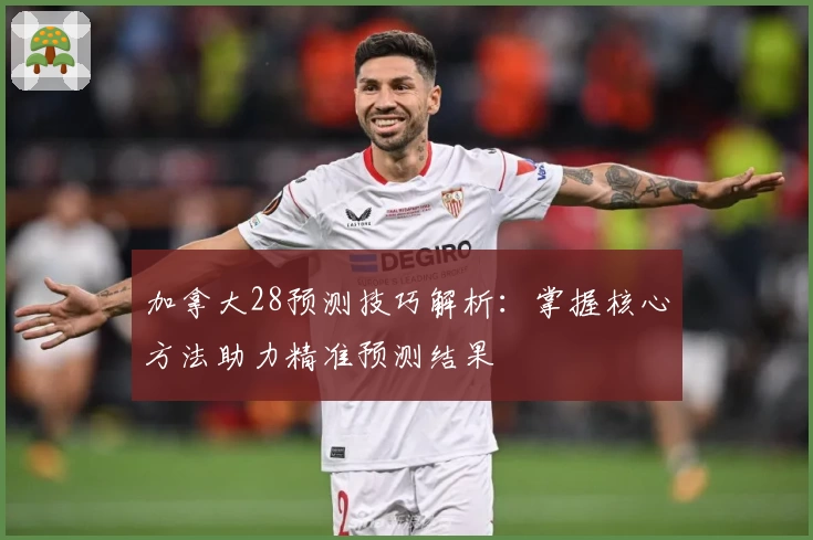 加拿大28预测技巧解析：掌握核心方法助力精准预测结果