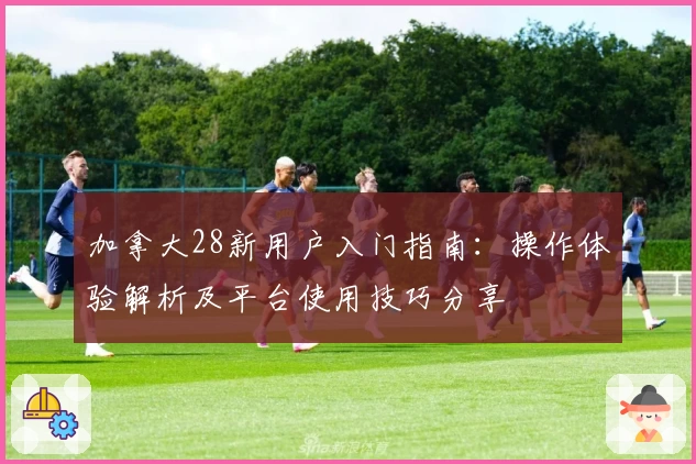 加拿大28新用户入门指南：操作体验解析及平台使用技巧分享