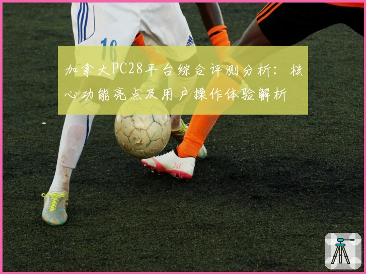 加拿大PC28平台综合评测分析：核心功能亮点及用户操作体验解析