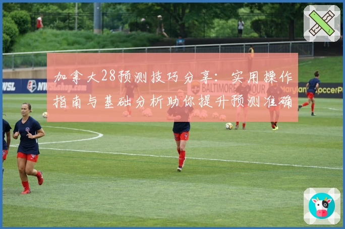 加拿大28预测技巧分享：实用操作指南与基础分析助你提升预测准确率