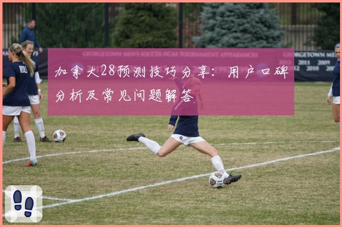 加拿大28预测技巧分享：用户口碑分析及常见问题解答