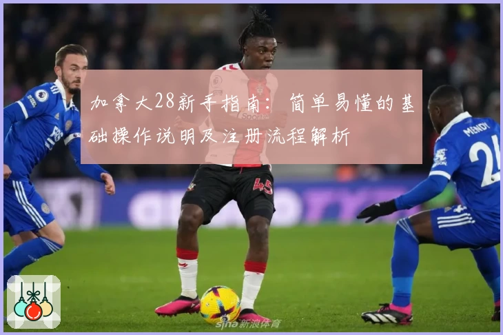 加拿大28新手指南：简单易懂的基础操作说明及注册流程解析