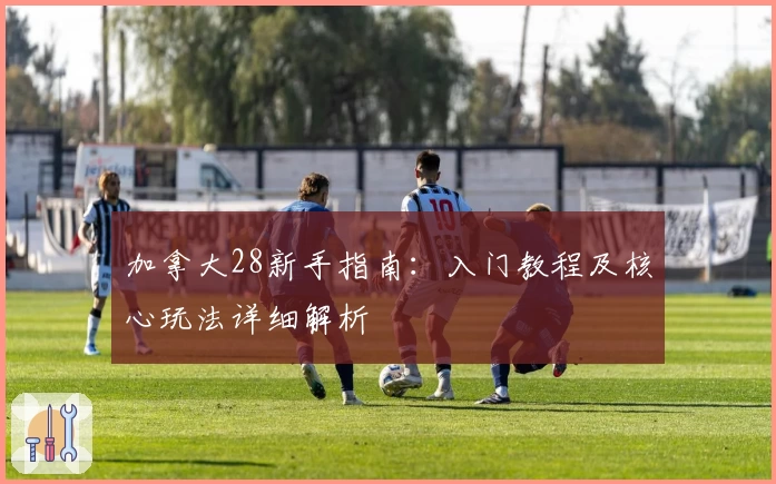 加拿大28新手指南：入门教程及核心玩法详细解析