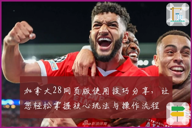 加拿大28网页版使用技巧分享，让您轻松掌握核心玩法与操作流程