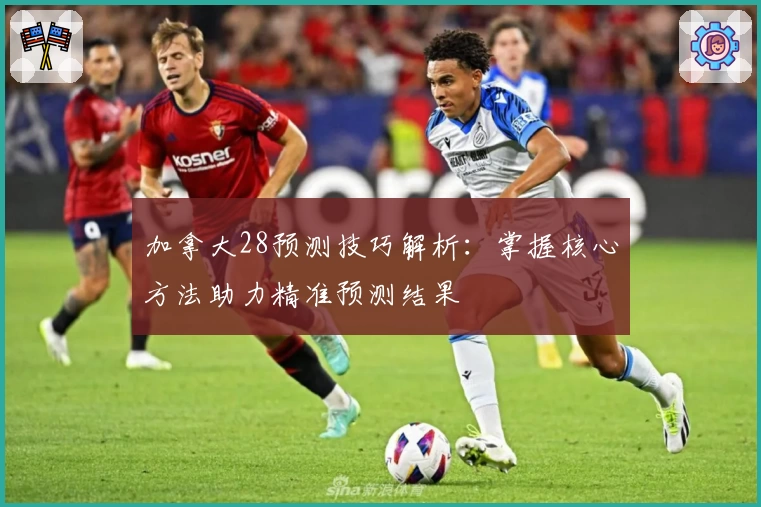 加拿大28预测技巧解析：掌握核心方法助力精准预测结果